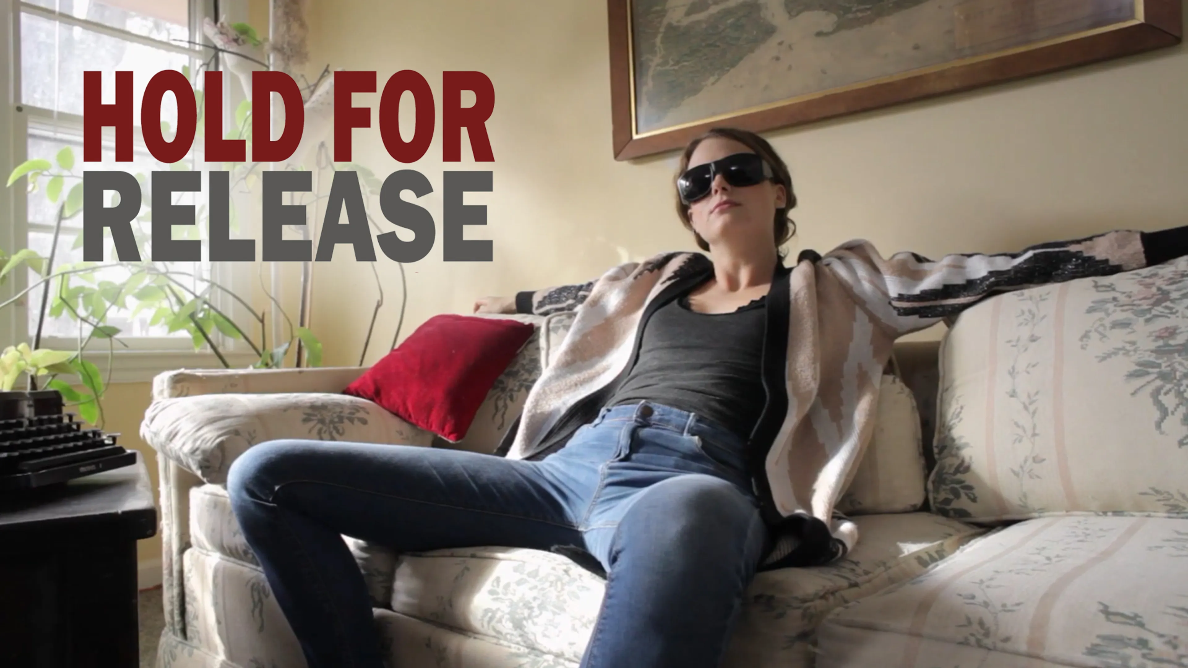 Hold For Release poster